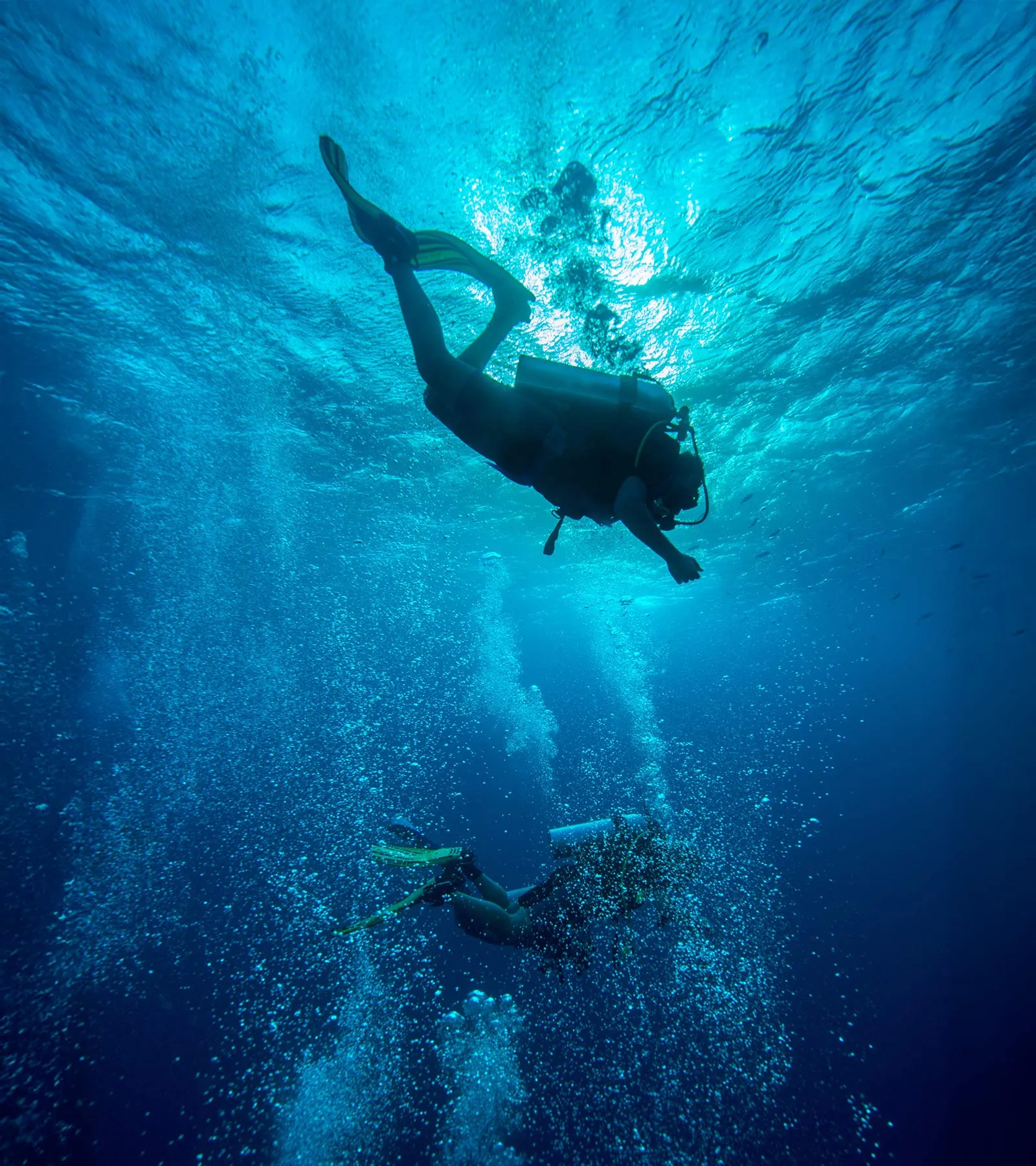 Sea Adventures