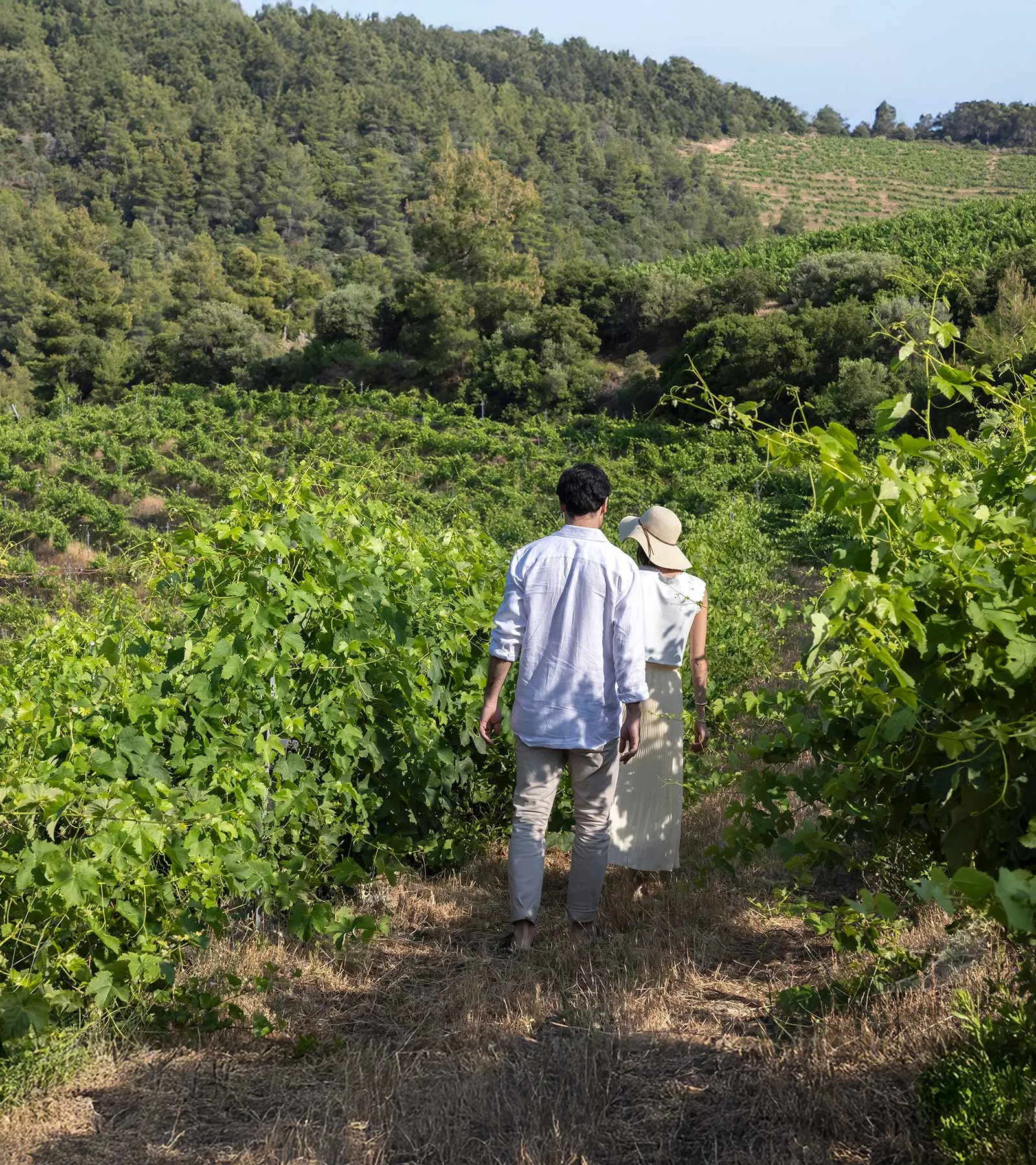 Domaine