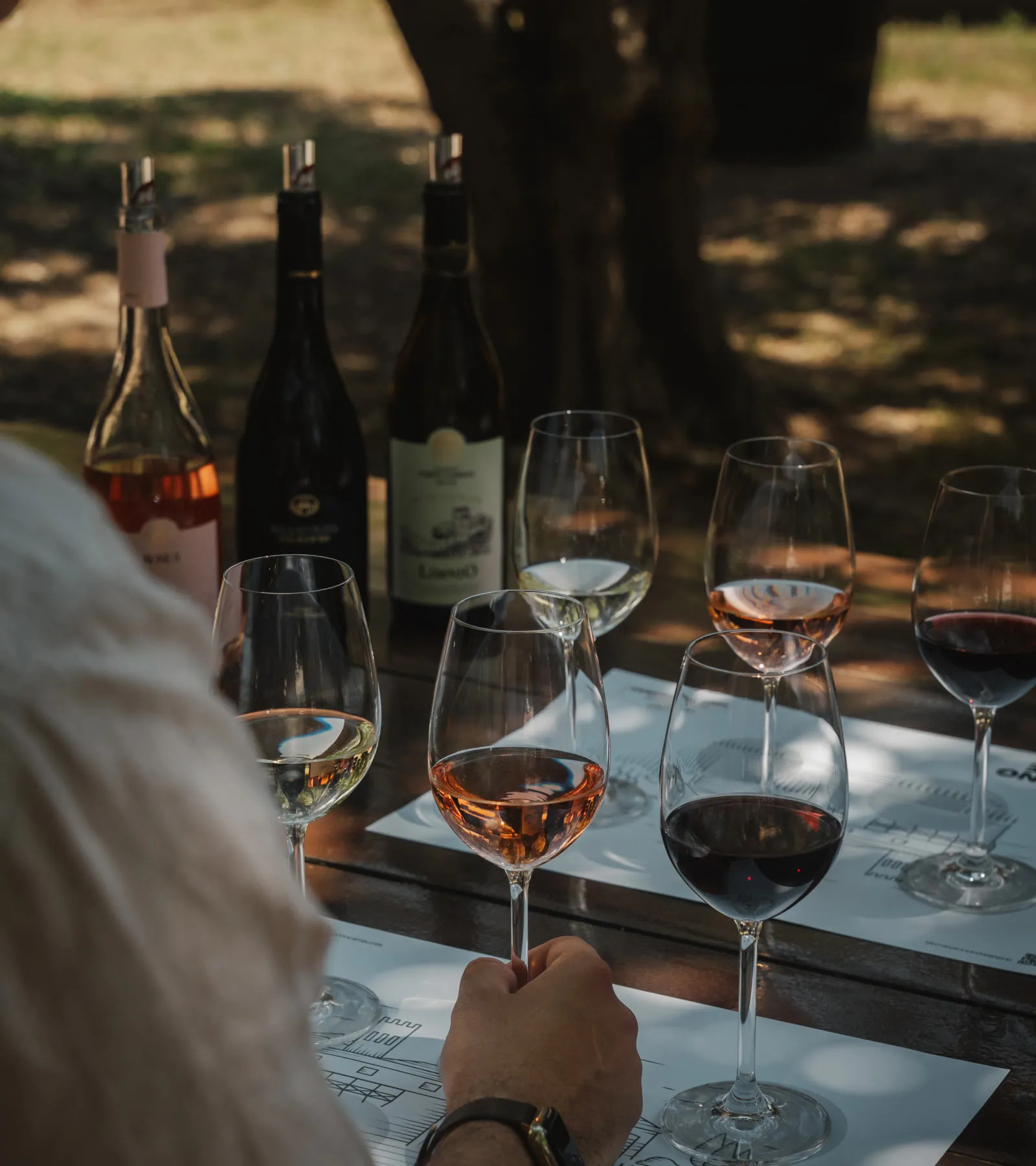 Domaine