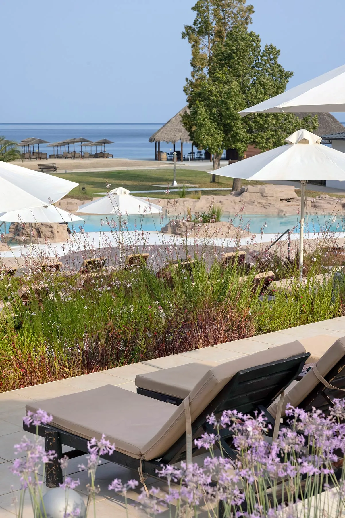 Pool Bar